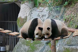 克洛泽：多特没有给巴黎留下太多空间，希望拜仁明天也能晋级决赛